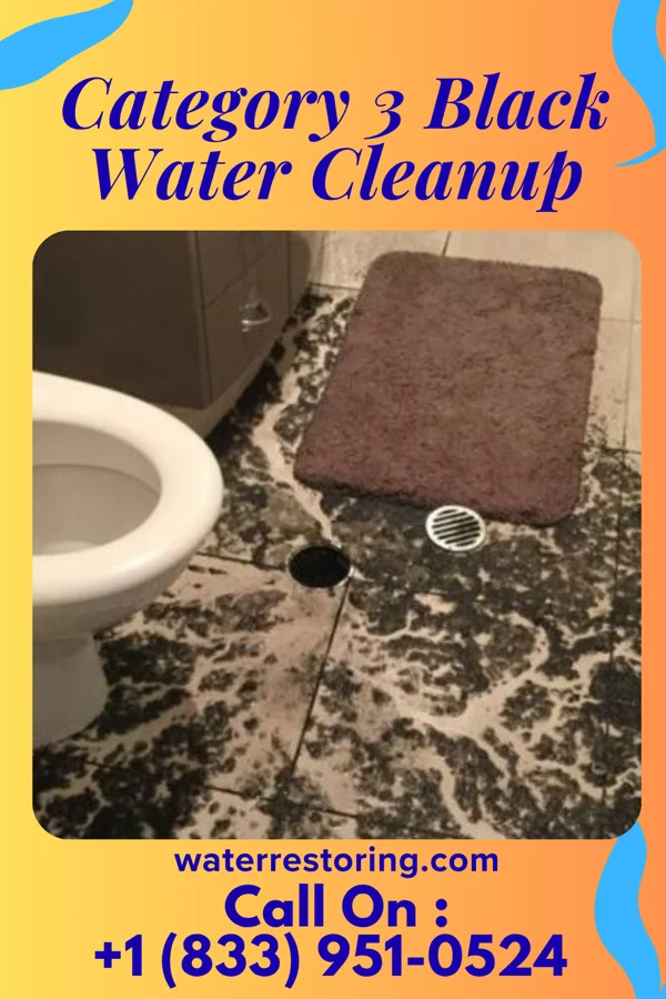 Category 3 Black Water Cleanup in Cuero, TX