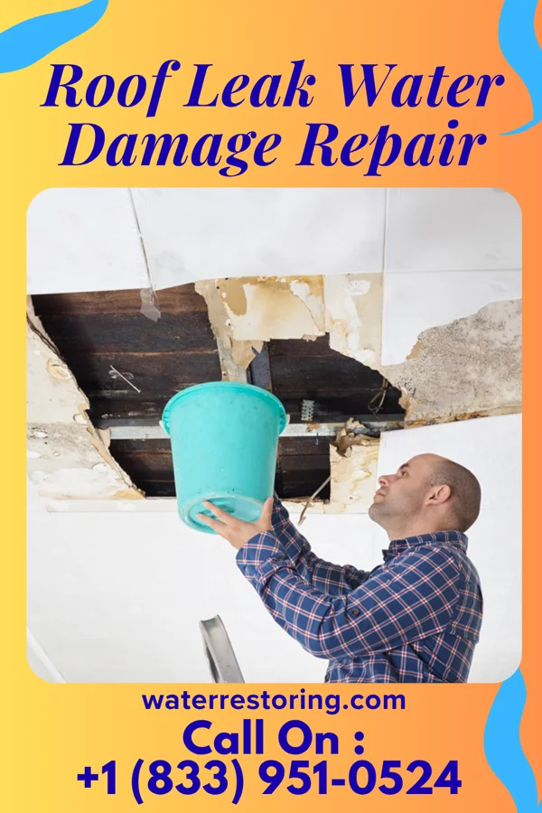 Roof Leak Water Damage Repair in Cuero, TX