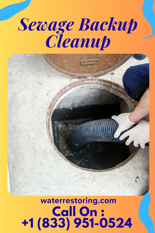 Sewage Backup Cleanup in Cuero, TX